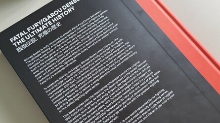 Fata Fury - Bitmap 11