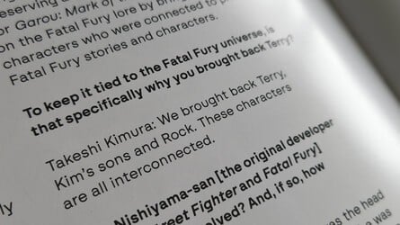 Fata Fury - Bitmap 8